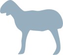 Indicado para ovino, yeguas, vacas, cerdas, cabras, gatas, perras