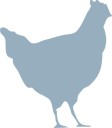 Indicado para pollos de engorde, huevos embrionados de gallina