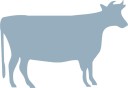 Indicado para bovino, caballos no destinados a consumo humano