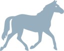 Indicado para ponis, caballos no destinados a consumo humano